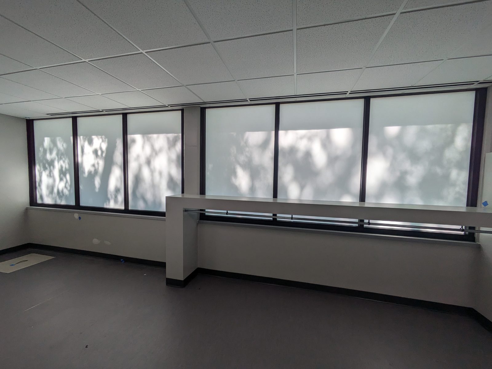 Office windows with frosted privacy film